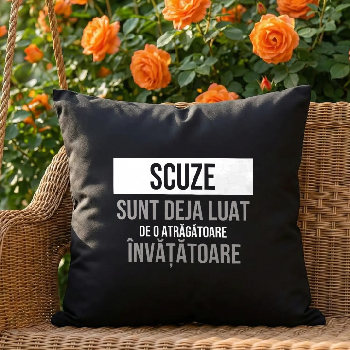 Scuze, sunt deja luat de o atrăgătoare învățătoare - pernă neagră cadou