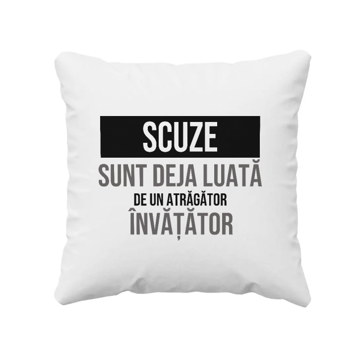 Scuze, sunt deja luată de un atrăgător învățător - pernă cadou