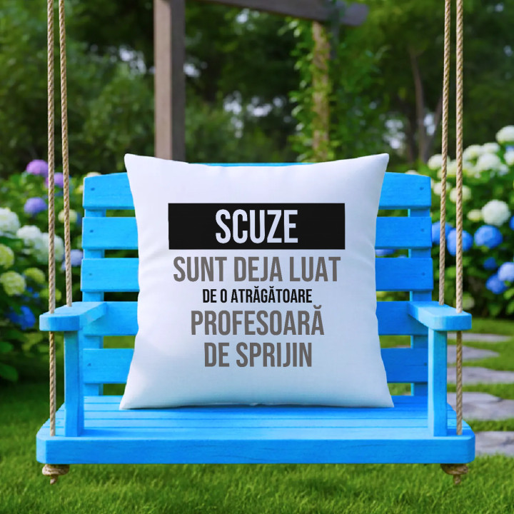 Scuze, sunt deja luat de o atrăgătoare profesoară de sprijin - pernă cadou