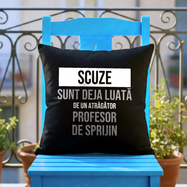 Scuze, sunt deja luată de un atrăgător profesor de sprijin - pernă neagră cadou