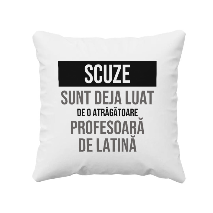 Scuze, sunt deja luat de o atrăgătoare profesoară de latină - pernă cadou