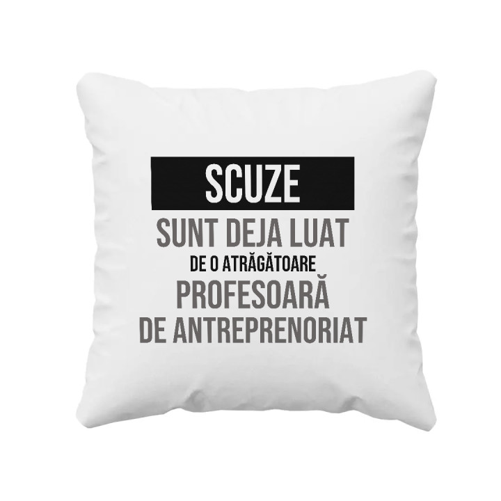 Scuze, sunt deja luat de o atrăgătoare profesoară de antreprenoriat - pernă cadou