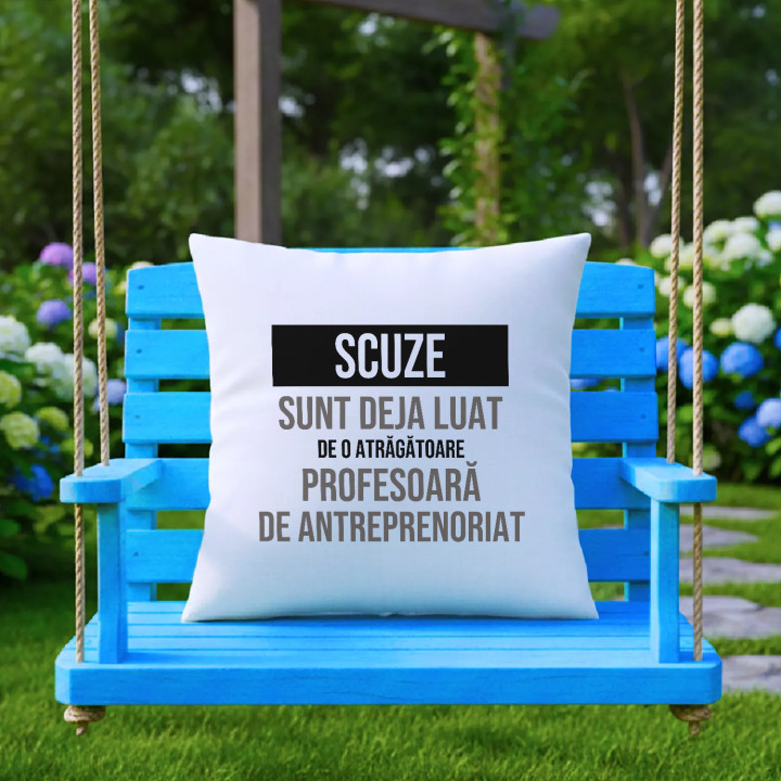 Scuze, sunt deja luat de o atrăgătoare profesoară de antreprenoriat - pernă cadou
