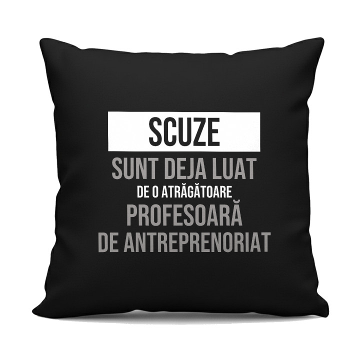 Scuze, sunt deja luat de o atrăgătoare profesoară de antreprenoriat - pernă neagră cadou