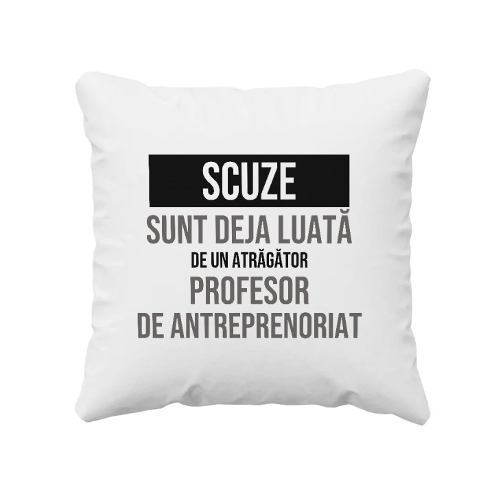 Scuze, sunt deja luată de un atrăgător profesor de antreprenoriat - pernă cadou