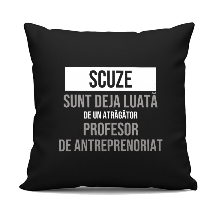 Scuze, sunt deja luată de un atrăgător profesor de antreprenoriat - pernă neagră cadou