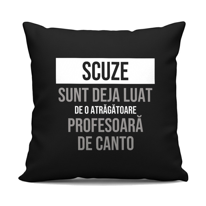 Scuze, sunt deja luat de o atrăgătoare profesoară de canto - pernă neagră cadou
