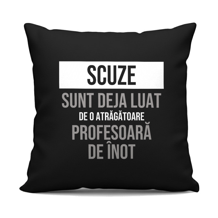 Scuze, sunt deja luat de o atrăgătoare profesoară de înot - pernă neagră cadou