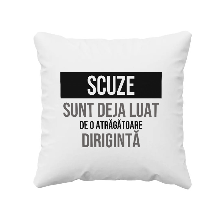 Scuze, sunt deja luat de o atrăgătoare dirigintă - pernă cadou