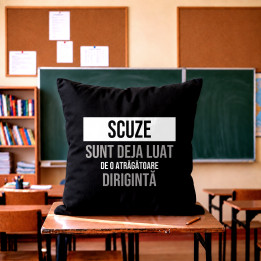 Scuze, sunt deja luat de o atrăgătoare dirigintă - pernă neagră cadou
