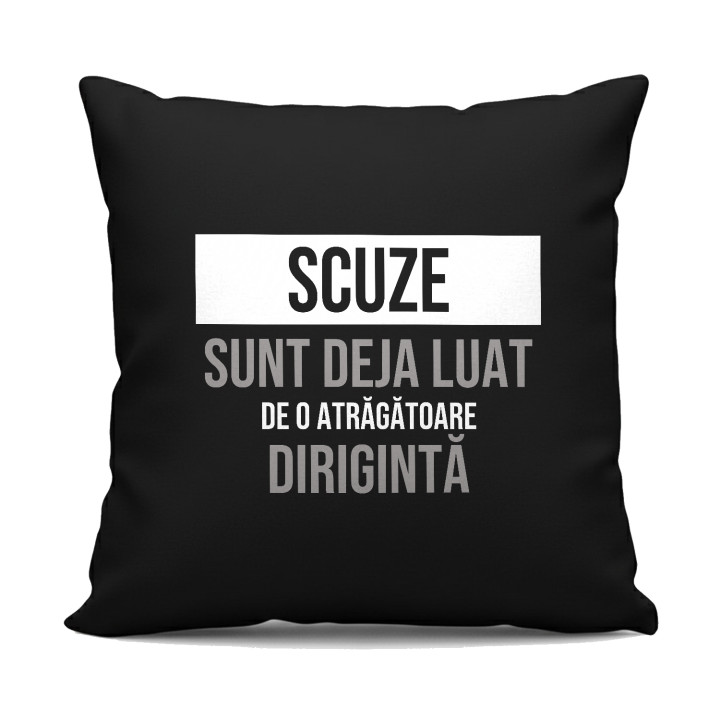 Scuze, sunt deja luat de o atrăgătoare dirigintă - pernă neagră cadou