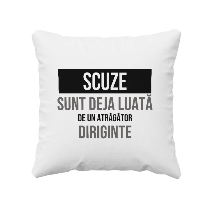 Scuze, sunt deja luată de un atrăgător diriginte - pernă cadou