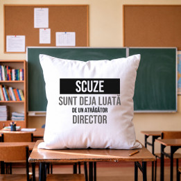 Scuze, sunt deja luată de un atrăgător director - pernă cadou
