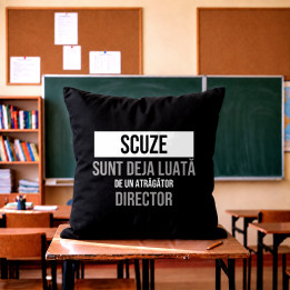 Scuze, sunt deja luată de un atrăgător director - pernă neagră cadou
