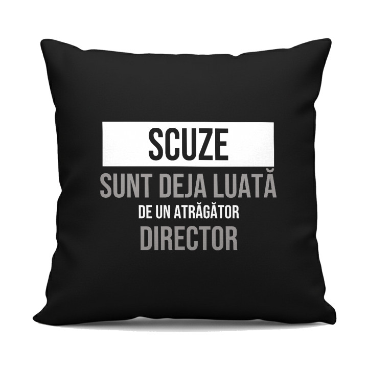 Scuze, sunt deja luată de un atrăgător director - pernă neagră cadou