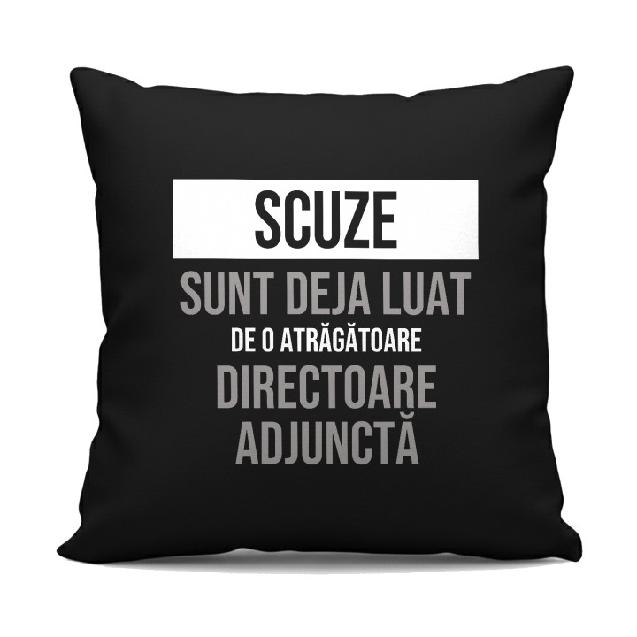 Scuze, sunt deja luat de o atrăgătoare directoare adjunctă - pernă neagră cadou