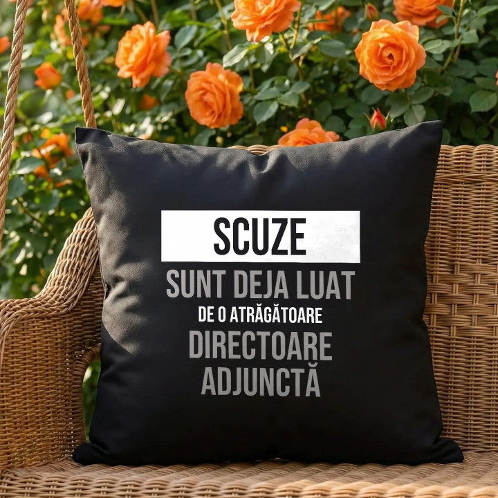 Scuze, sunt deja luat de o atrăgătoare directoare adjunctă - pernă neagră cadou