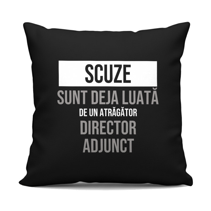 Scuze, sunt deja luată de un atrăgător director adjunct - pernă neagră cadou