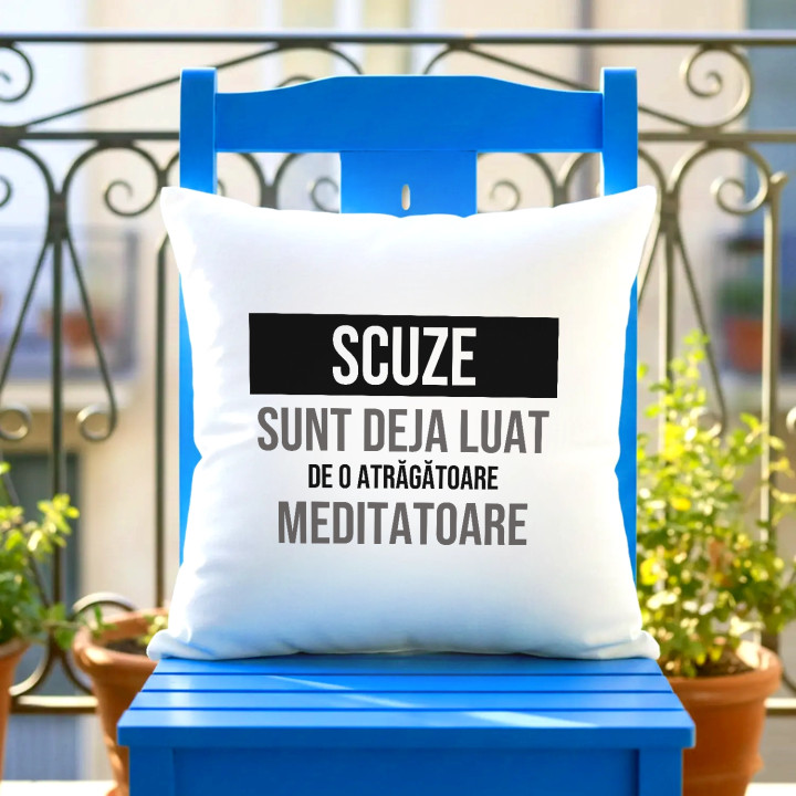 Scuze, sunt deja luat de o atrăgătoare meditatoare - pernă cadou