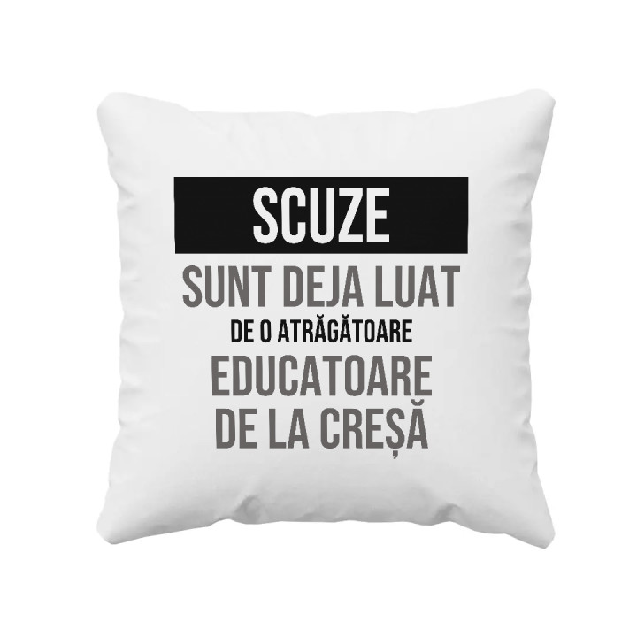 Scuze, sunt deja luat de o atrăgătoare educatoare de la creșă - pernă cadou