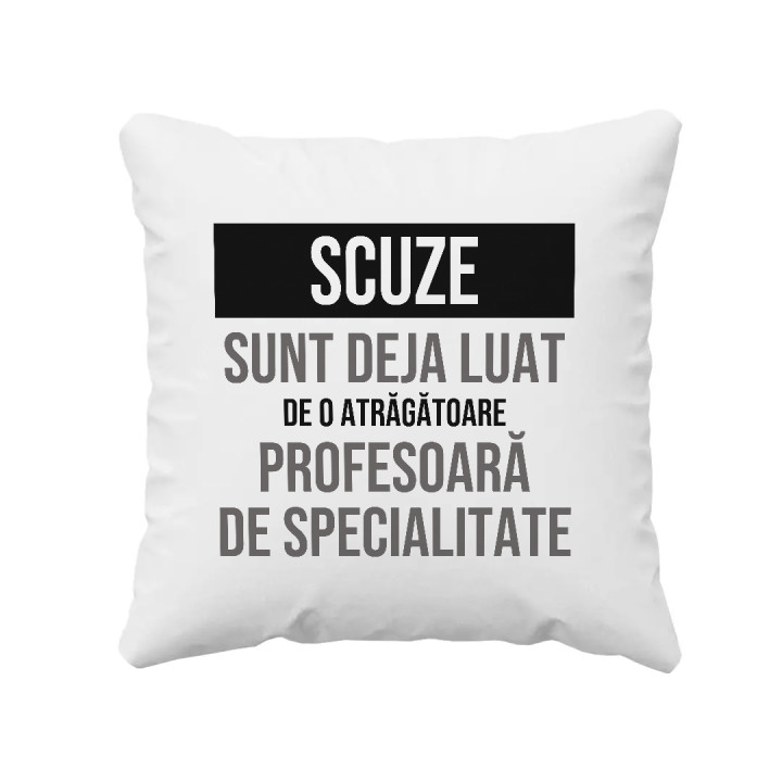 Scuze, sunt deja luat de o atrăgătoare profesoară de specialitate - pernă cadou