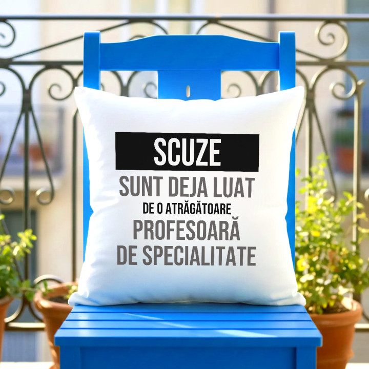 Scuze, sunt deja luat de o atrăgătoare profesoară de specialitate - pernă cadou