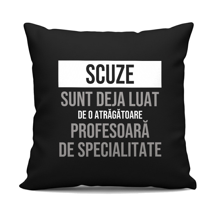 Scuze, sunt deja luat de o atrăgătoare profesoară de specialitate - pernă neagră cadou