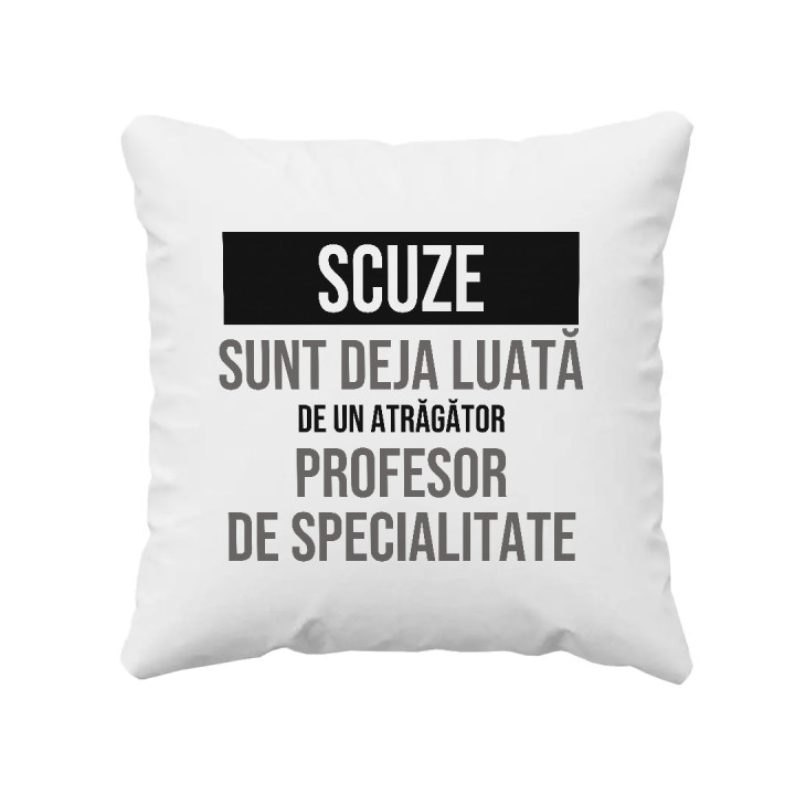 Scuze, sunt deja luată de un atrăgător profesor de specialitate - pernă cadou
