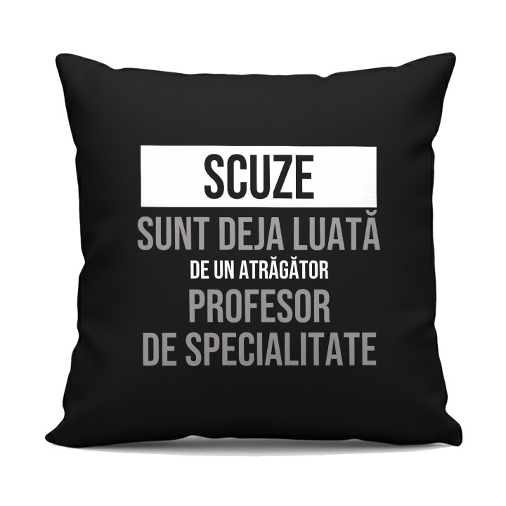 Scuze, sunt deja luată de un atrăgător profesor de specialitate - pernă neagră cadou