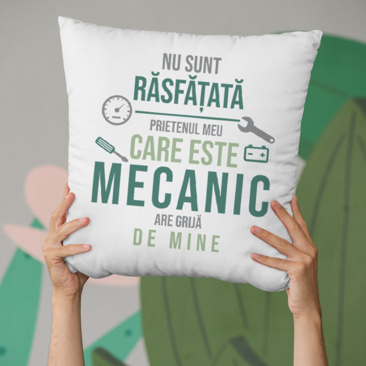 Nu sunt răsfățată - prietenul meu care este mecanic are grijă de mine