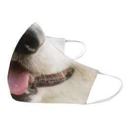 Câine - mască de protecție