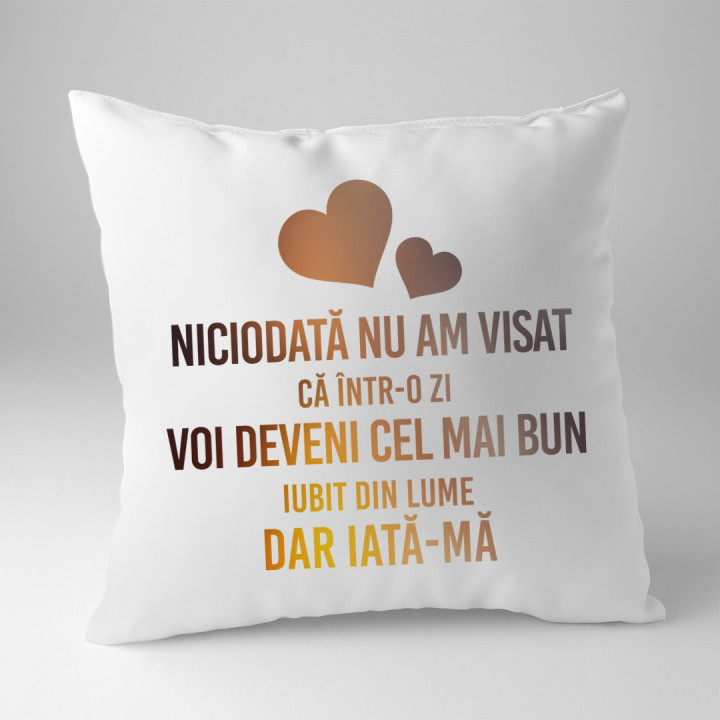 Niciodată nu am visat, că într-o zi voi deveni cel mai bun iubit din lume - perna