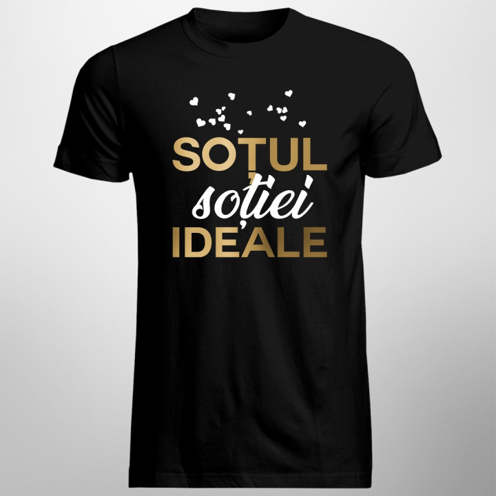 Soțul soției ideale - t-shirt pentru bărbați
