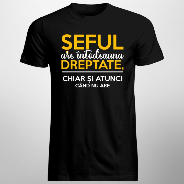 Șeful are întodeauna dreptate, chiar și atunci când nu are - T-shirt pentru bărbați