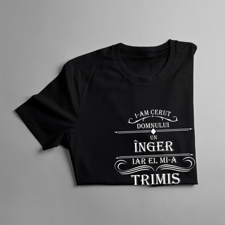 I-am cerut Domnului un înger - t-shirt pentru bărbați