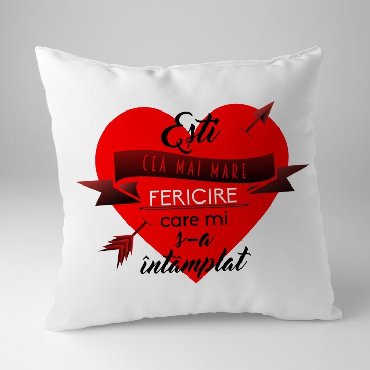 Cea mai mare fericire - pernă