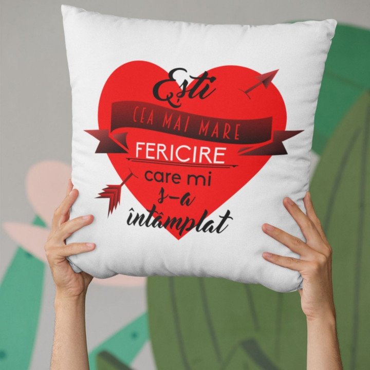 Cea mai mare fericire - pernă