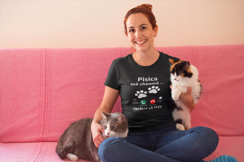 3 idei de cadouri pentru iubitorii de pisici